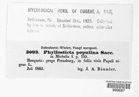 Phyllosticta populina image